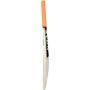GM Epic Striker Kashmir Willow Cricket Bat Standard Size