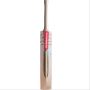 Gray Nicolls Gold Edition English Willow Cricket Bat