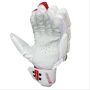 Gray Nicolls GN9 International Batting Gloves