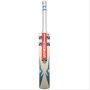 Gray Nicolls Shockwave GN1 English Willow Cricket Bat