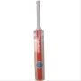 Gray Nicolls Inferno GN6 English Willow Cricket Bat