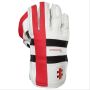 Gray Nicolls GN9 International Cricket Keeping Gloves