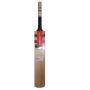 Gray Nicolls oblivion E41 Gn1 English Willow Cricket Bat Standard Size