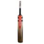Gray Nicolls oblivion E41 Gn1 English Willow Cricket Bat Standard Size