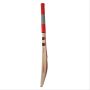 Gray Nicolls Quantum Gn1 Adult Sh English Willow Cricket Bat Standard Size