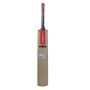 Gray Nicolls Dynadrive Gn6 English Willow Cricket Bat Standard Size