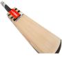 Gray Nicolls Oblivion E41 GN 7.5 English Willow Cricket Bat