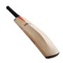 Gray Nicolls Classic Pro GN English Willow Cricket Bat