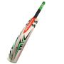 Gray Nicolls Powerbow Gen X GN5.5 English Willow Cricket Bat