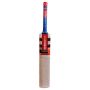 Gray Nicolls Oblivion E41 GN4.5 English Willow Cricket Bat