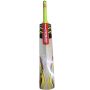 Gray-Nicolls Powerbow GN+ English Willow Cricket Bat, Full Size SH
