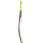 Gray-Nicolls Powerbow GN+ English Willow Cricket Bat, Full Size SH