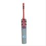 Gray Nicolls Kaboom GN Academy English Willow Cricket Bat