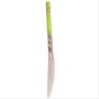 Gray Nicolls Powerbow GN2 Select Willow Cricket Bat