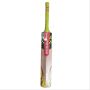 Gray Nicolls Powerbow GN2 Select Willow Cricket Bat