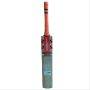 Gray Nicolls Kaboom GN4.5 English Willow Cricket Bat