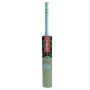 Gray Nicolls Velocity GN1 English Willow Cricket Bat
