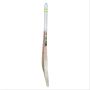 Gray Nicolls Velocity GN1 English Willow Cricket Bat