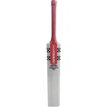 Gray Nicolls Astro GN3 English Willow Cricket Bat (Standard Size Short Handle)