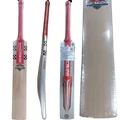Gray Nicolls ASTRO GN1 English Willow Cricket Bat (Standard Size SHort Handle)