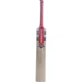 Gray Nicolls ASTRO GN1 English Willow Cricket Bat (Standard Size SHort Handle)