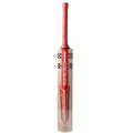 Gray Nicolls Astro Strike Force kashmir willow Cricket Bat (Standard Size Short Handle)