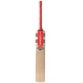 Gray Nicolls Astro Strike Force kashmir willow Cricket Bat (Standard Size Short Handle)