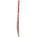 Gray Nicolls Astro Strike Force kashmir willow Cricket Bat (Standard Size Short Handle)