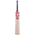 Gray Nicolls Gold Edition 3.0 English Willow Cricket Bat (Standard Size Short Handle)