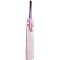 Gray Nicolls Gold Edition 3.0 English Willow Cricket Bat (Standard Size Short Handle)