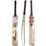 Gray Nicolls Gold Edition 4.0 English Willow Cricket Bat (Standard Size Short Handle)