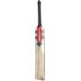 Gray Nicolls Gold Edition 4.0 English Willow Cricket Bat (Standard Size Short Handle)