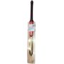 Gray Nicolls Gold Edition 4.0 English Willow Cricket Bat (Standard Size Short Handle)