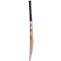 Gray Nicolls Shockwave Smash Kashmir Willow Cricket Bat (Standard Size Short Handle)