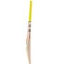 Gray Nicolls Tempesta Range Kashmir Willow Cricket Bat (Standard Size Short Handle)
