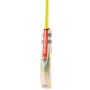 Gray Nicolls Tempesta Range Kashmir Willow Cricket Bat (Standard Size Short Handle)
