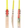 Gray Nicolls Tempesta Range Kashmir Willow Cricket Bat (Standard Size Short Handle)