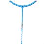 Head Flacone Striker HM Graphite Badminton Racket