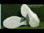 DSC Jaffa Neo  Cricket shoes Colour WHSL24
