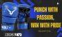 Invincible Fitness MMA Boxing Gloves
