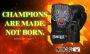 Invincible Limited Edition Combat Boxing Gloves