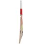 Kookaburra Menace 100 English Willow Cricket Bat Standard Size