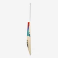 Kookaburra Aura Alex Carey English Willow Cricket Bat (Standard Size Short Handle)