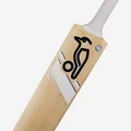 Kookaburra Ghost Marnus Labuschagne English Willow Cricket Bat (Standard Size Short Handle)