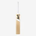 KOOKABURRA GHOST PRO 4.0 ENGLISH WILLOW Cricket BAT (STANDARD ZISE SHORT HNDLE)