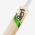 Kookaburra Kahuna Jos Buttler English Willow Cricket Bat (Standard Size Short Handle)