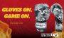 Invincible Limited Edition Super Sparring Boxing Gloves
