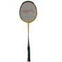Offer on Li Ning G Force Power 1000 i Badminton Racket and Thrax kitbag Blue and Black