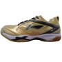 Li Ning Champion Golden Badminton Shoes