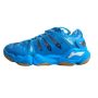 Li Ning AYAH 009 Professional Badminton Shoes Blue